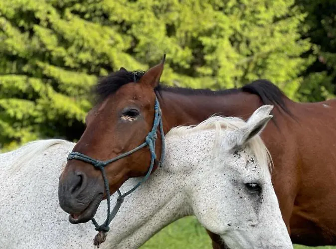 Lejlighed Skyday Penthouse Deluxe At Oak Smolyan